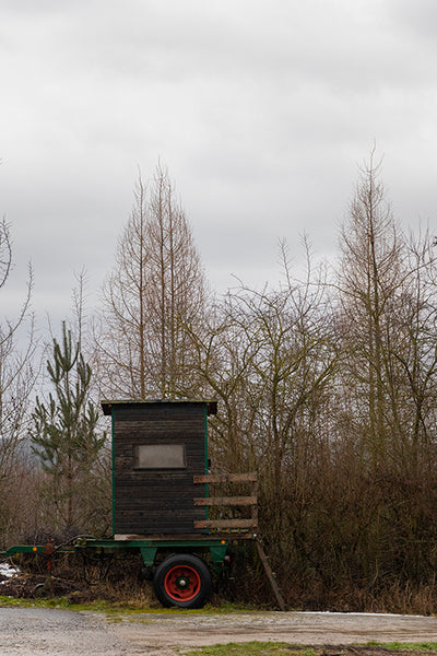 Kostenlose Referenzbilder 3er Bundle - Februar 2026