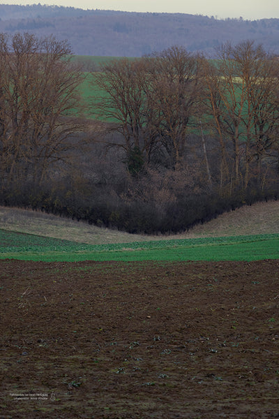 Kostenlose Referenzbilder 3er Bundle - Februar 2026