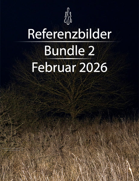 Kostenlose Referenzbilder 3er Bundle - Februar 2026